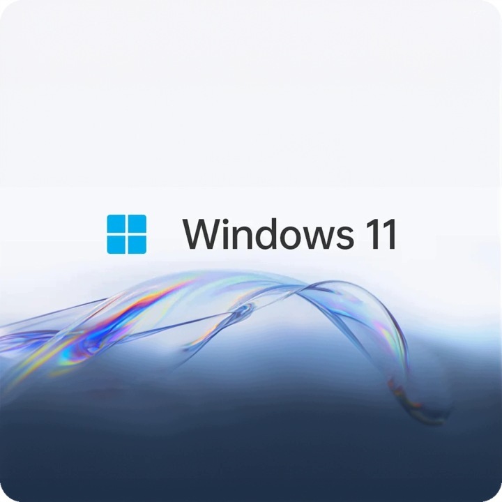 Windows 11 Pro – system operacyjny MINISFORUM 895D7